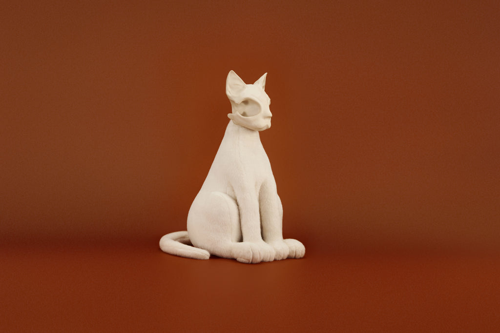 White Oriental Shorthair