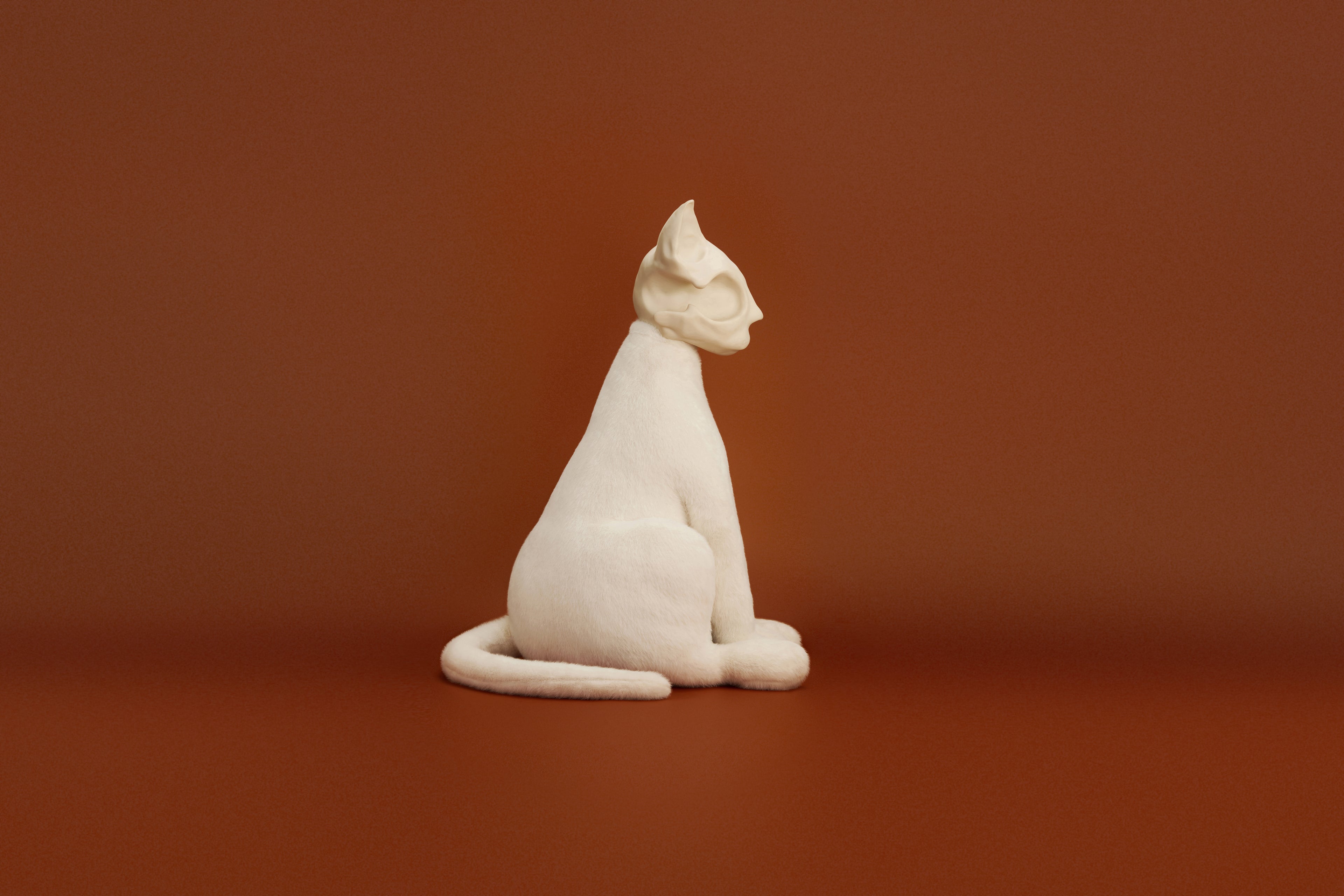 White Oriental Shorthair