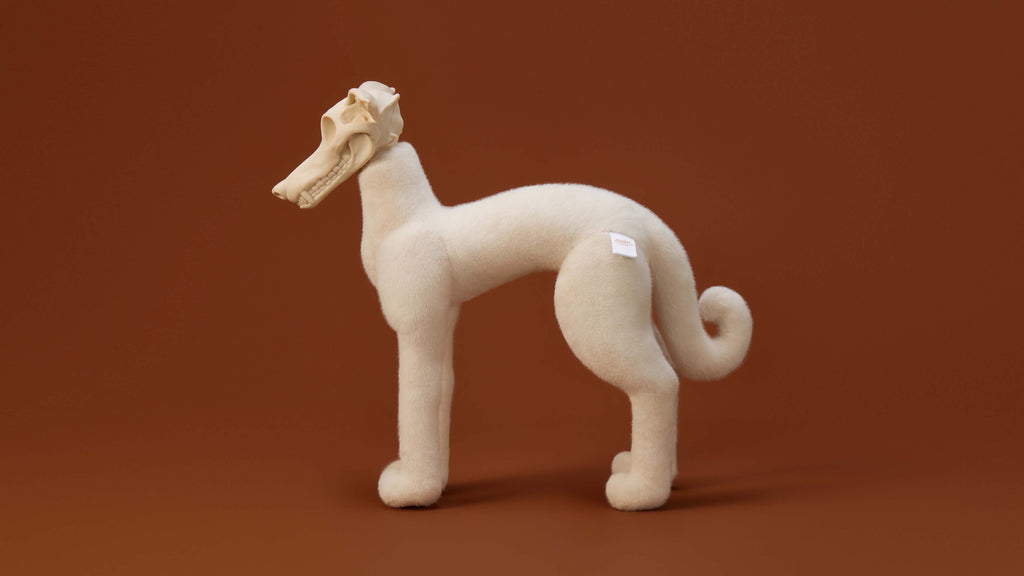 White Greyhound