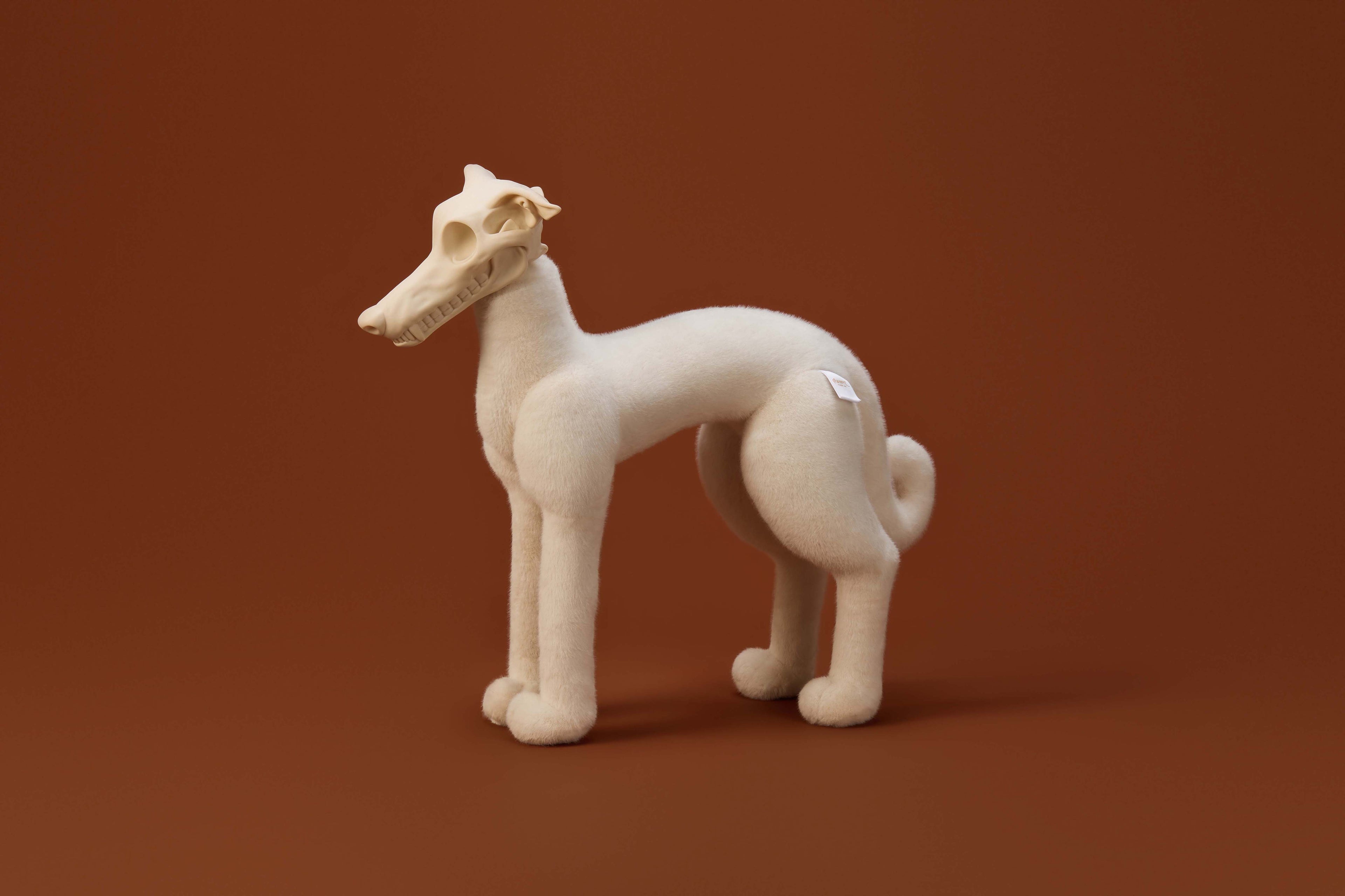 White Greyhound