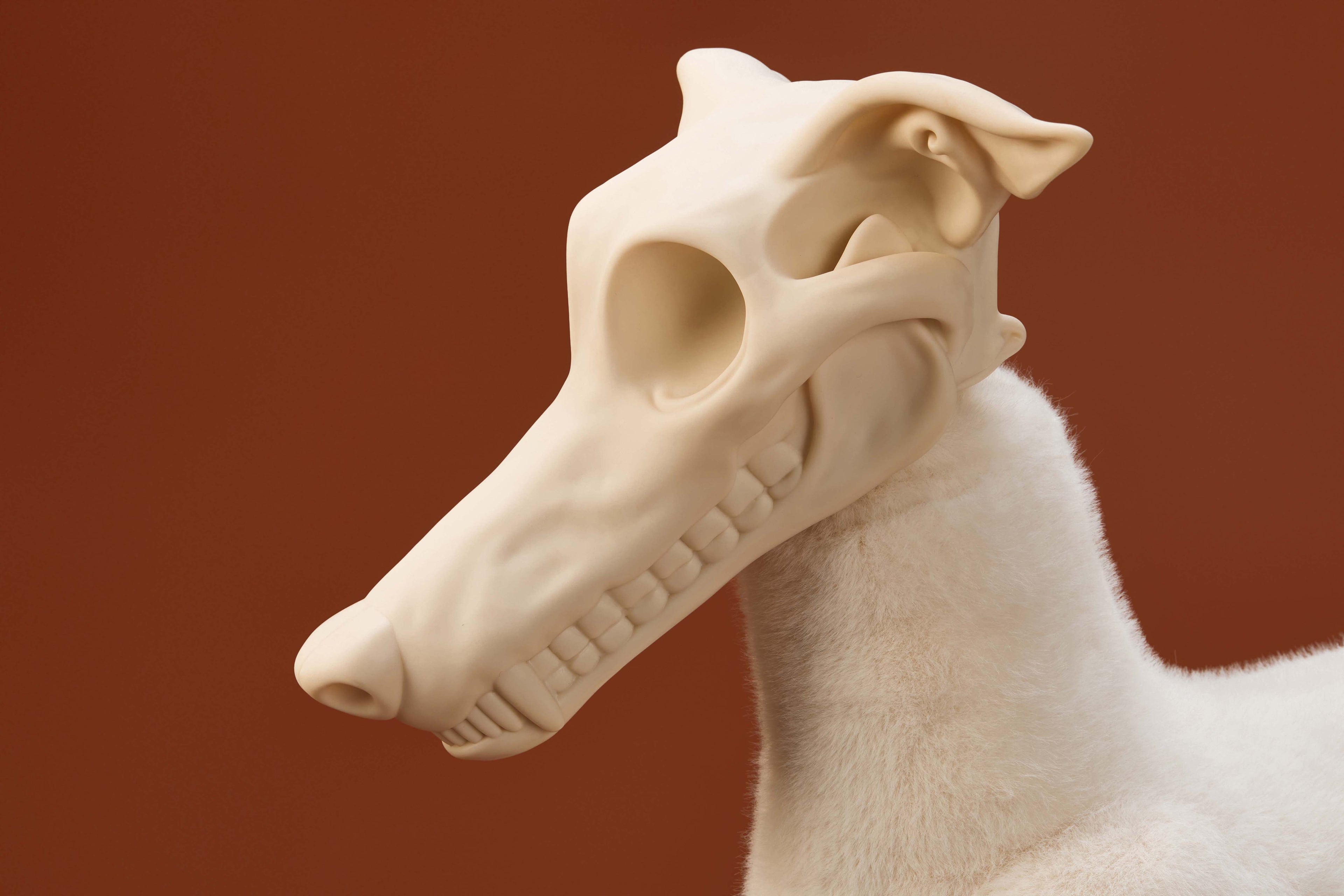 White Greyhound